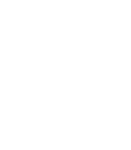 100 ЛИЦ